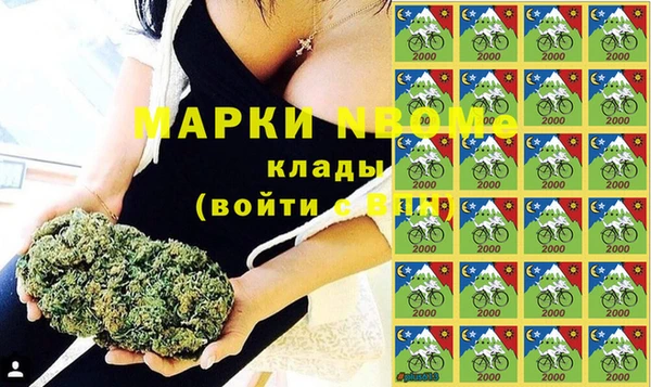 скорость Каменногорск