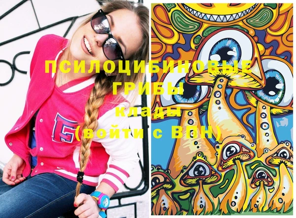 PSILOCYBIN Каменск-Шахтинский